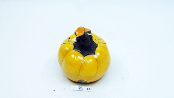 Kürbis 41 – Bild 3