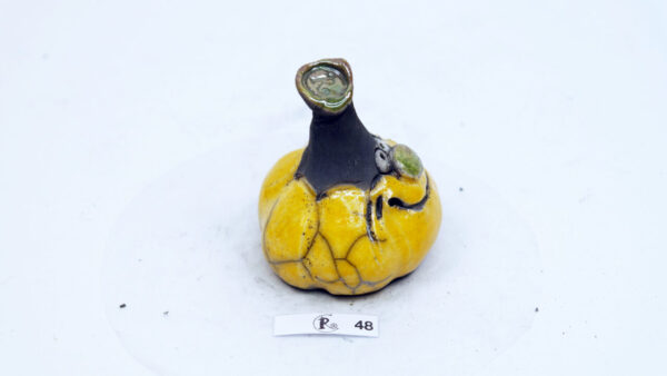 Kürbis 48 – Bild 4