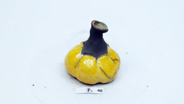Kürbis 48 – Bild 3