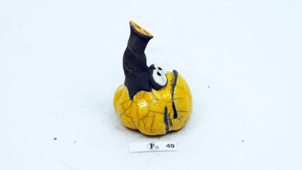 Kürbis 49 – Bild 4