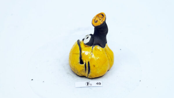Kürbis 49 – Bild 2