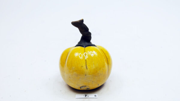 Kürbis 5 – Bild 2