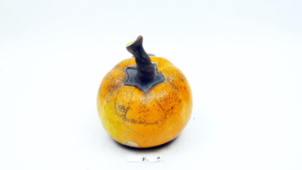Kürbis 6 – Bild 4