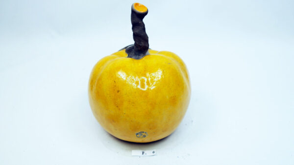 Kürbis 6 – Bild 4