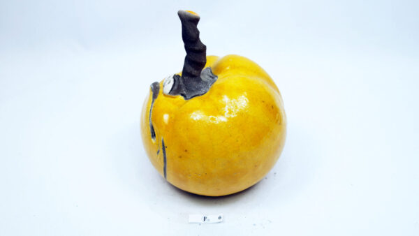 Kürbis 6 – Bild 3