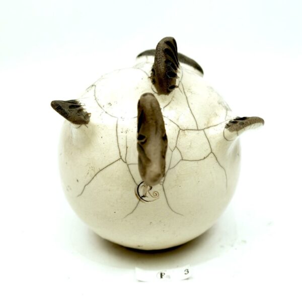 Kugelfisk 3 – Bild 2