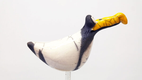 Möwe Clara – Bild 2