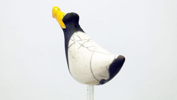 Möwe Clara – Bild 6