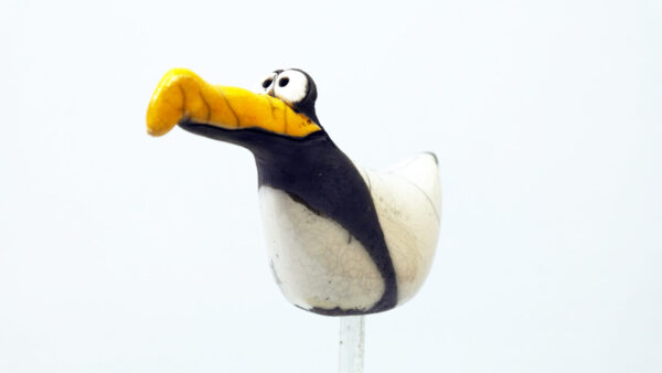 Möwe Clara – Bild 4