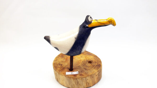 Möwe Ira – Bild 6