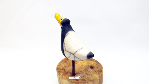 Möwe Ira – Bild 5