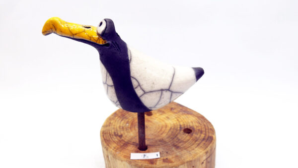 Möwe Ira – Bild 4