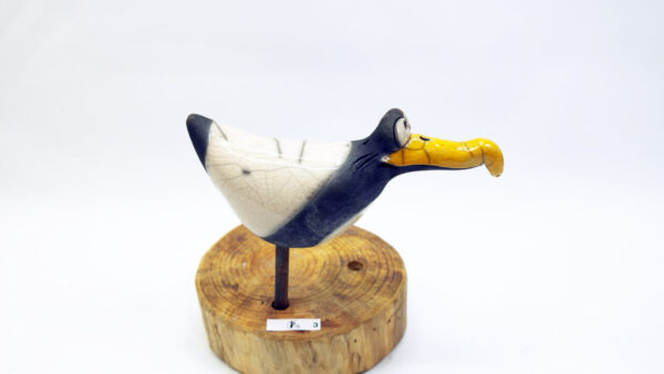 Möwe Lara – Bild 7