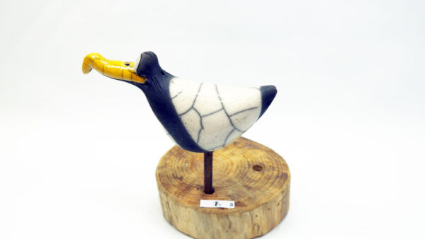 Möwe Lara – Bild 4
