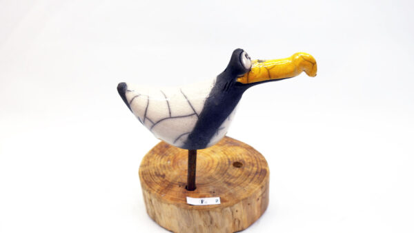 Möwe Mara – Bild 6