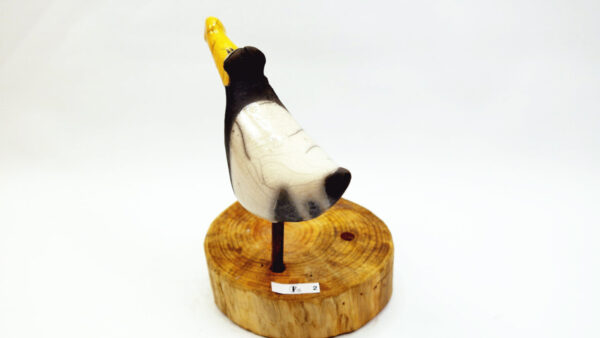Möwe Mara – Bild 5
