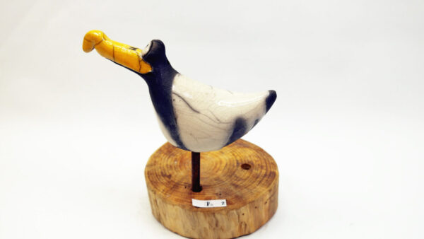 Möwe Mara – Bild 4