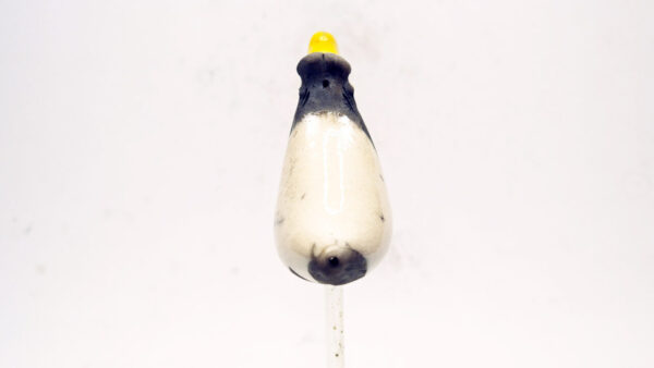 Möwe S 2 – Bild 5