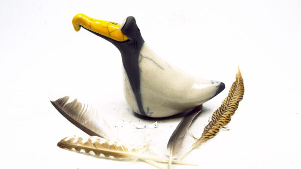 Möwe Big 4 – Bild 5