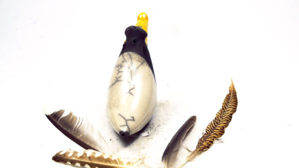 Möwe Big 5 – Bild 2