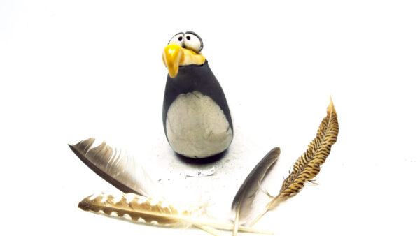 Möwe Big 5 – Bild 3