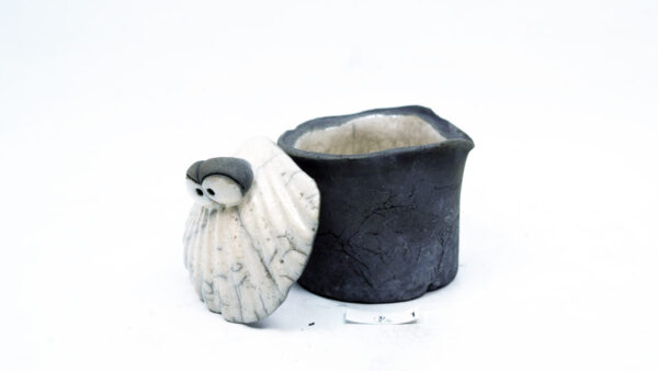 Muscheldose 1 – Bild 6