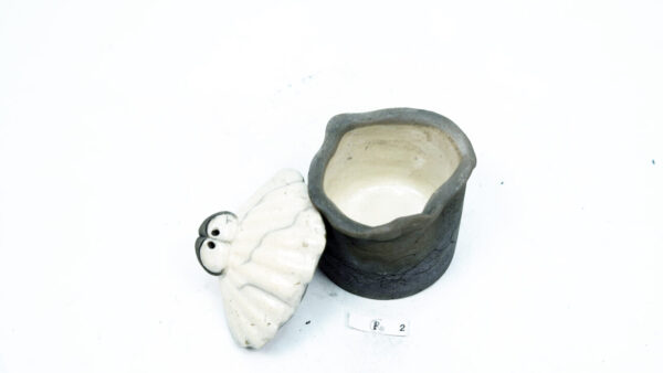 Muscheldose 2 – Bild 7