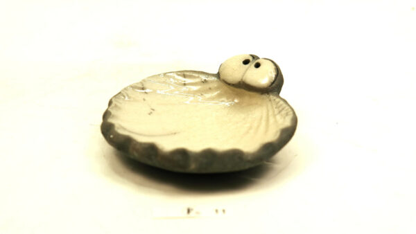 Ogenmussel 10 – Bild 5