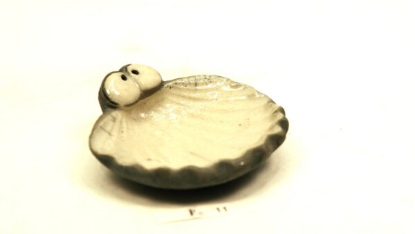 Ogenmussel 10 – Bild 2