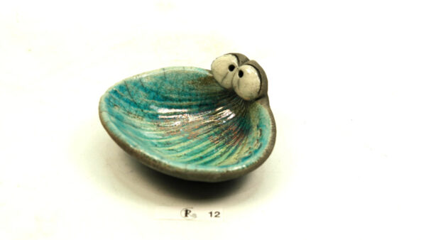 Ogenmussel 11 – Bild 5