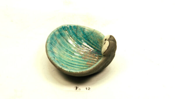 Ogenmussel 11 – Bild 4