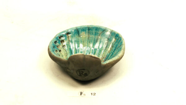Ogenmussel 11 – Bild 3