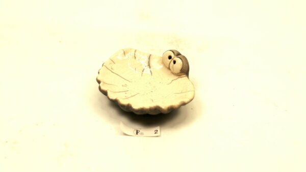 Ogenmussel 2 – Bild 2