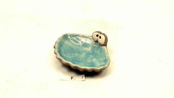 Ogenmussel 7 – Bild 4