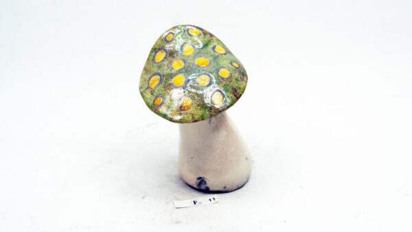 Pilz 1 – Bild 4