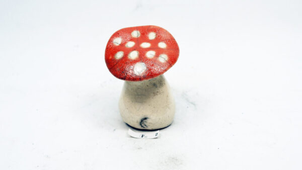Pilz 2 – Bild 4