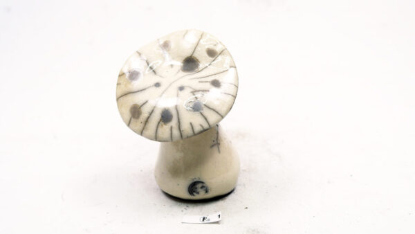 Pilz 21 – Bild 5
