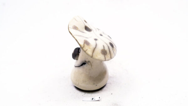Pilz 21 – Bild 4