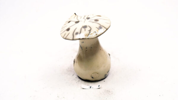 Pilz 22 – Bild 5