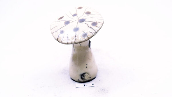 Pilz 24 – Bild 5