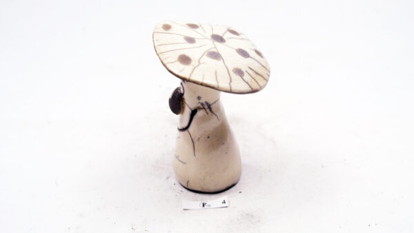 Pilz 24 – Bild 4