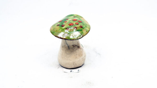 Pilz 3 – Bild 4