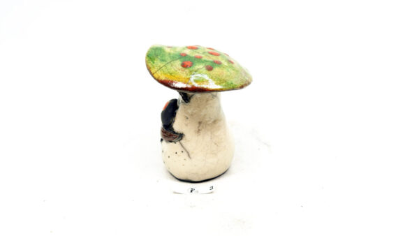 Pilz 3 – Bild 3