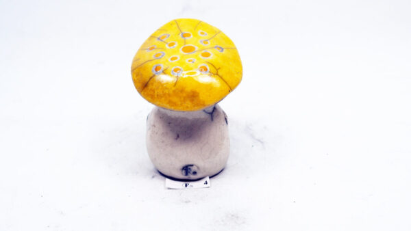 Pilz 4 – Bild 4