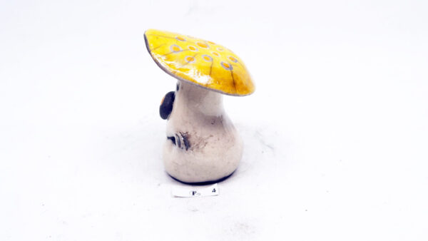 Pilz 4 – Bild 3