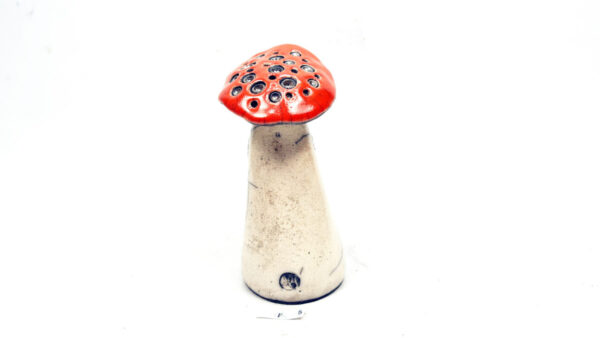 Pilz 5 – Bild 4
