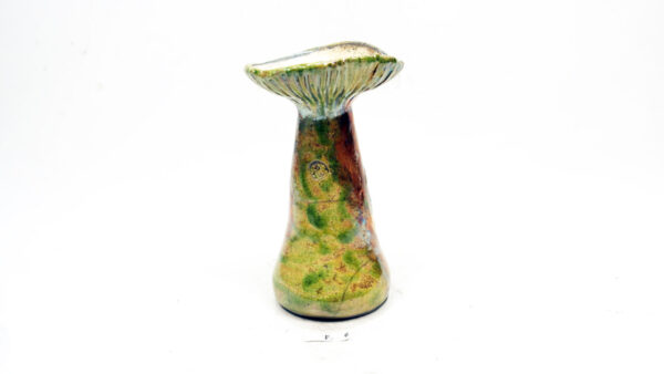 Pilz 6 – Bild 4