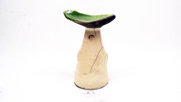 Pilz 8 – Bild 4