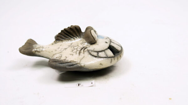 Plattfisch Veilchen – Bild 5