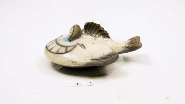 Plattfisch Veilchen – Bild 3